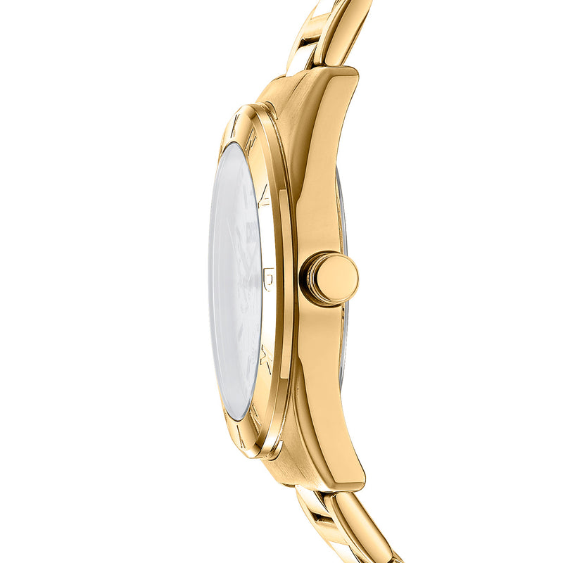 Chambers Multi Sport - Gold