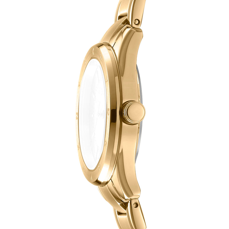 Chambers Sport - Gold